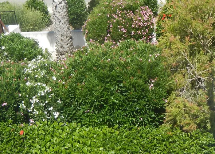 Penthouse Direkt Am * Polis